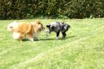 merly und sky 16